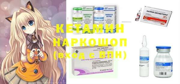 индика Беломорск