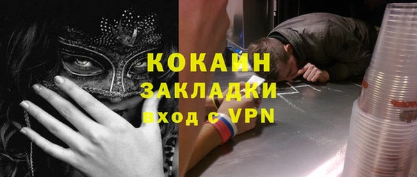 индика Беломорск
