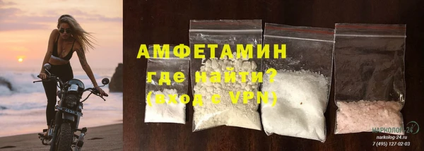 индика Беломорск