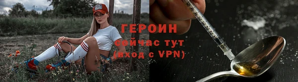 индика Беломорск