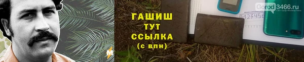 крисы Белокуриха