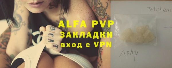 индика Беломорск