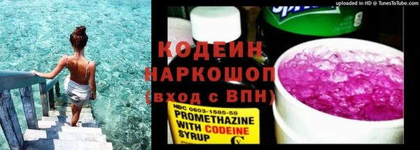 индика Беломорск