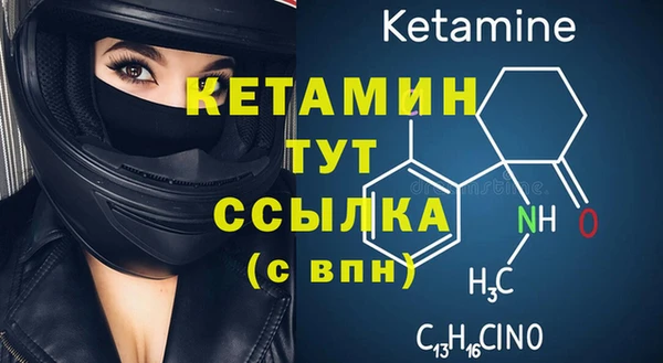 индика Беломорск